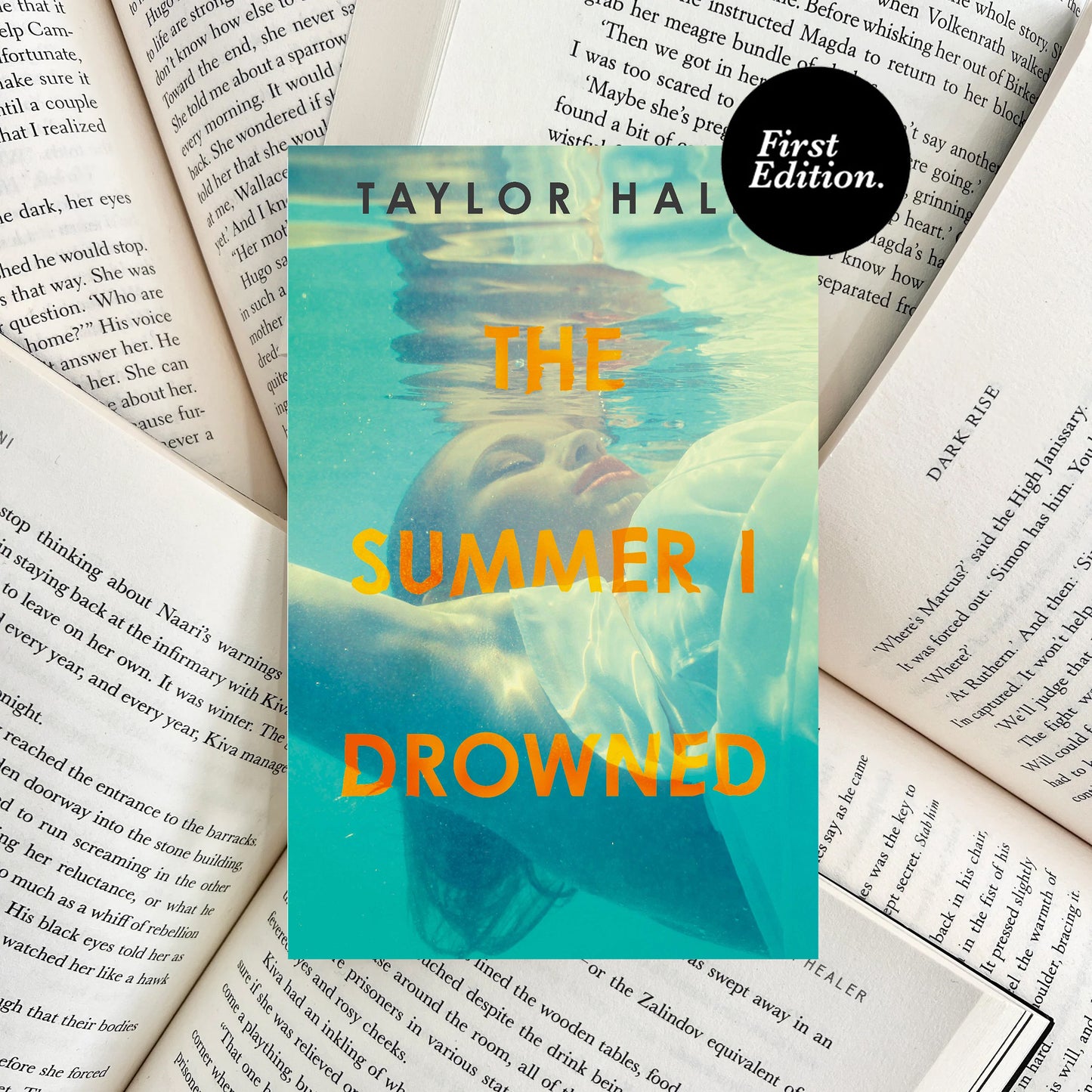 The Summer I Drowned By Taylor Hale (SECOND-HAND)
