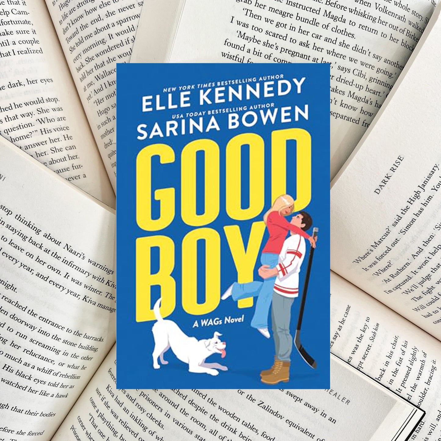 Good Boy By Elle Kennedy (NEW)