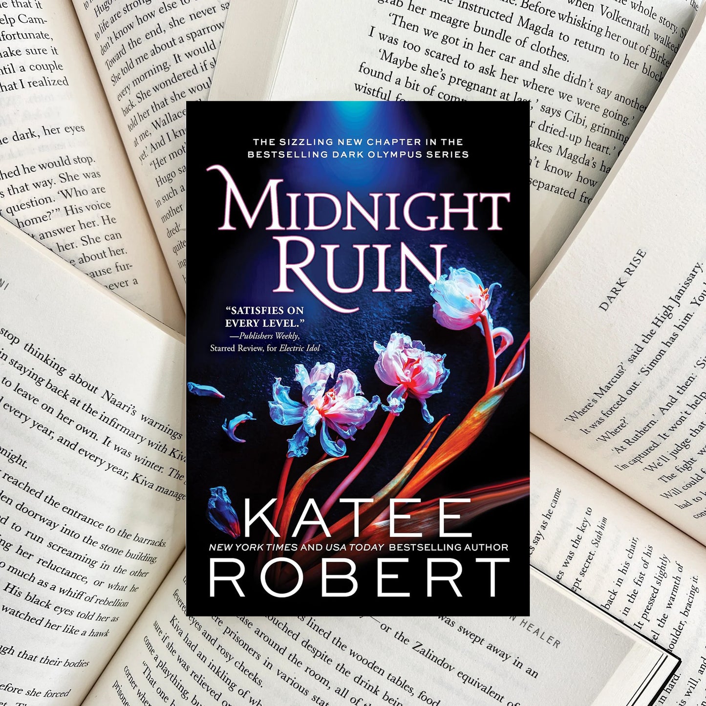 Midnight Ruin By Katee Robert (NEW)