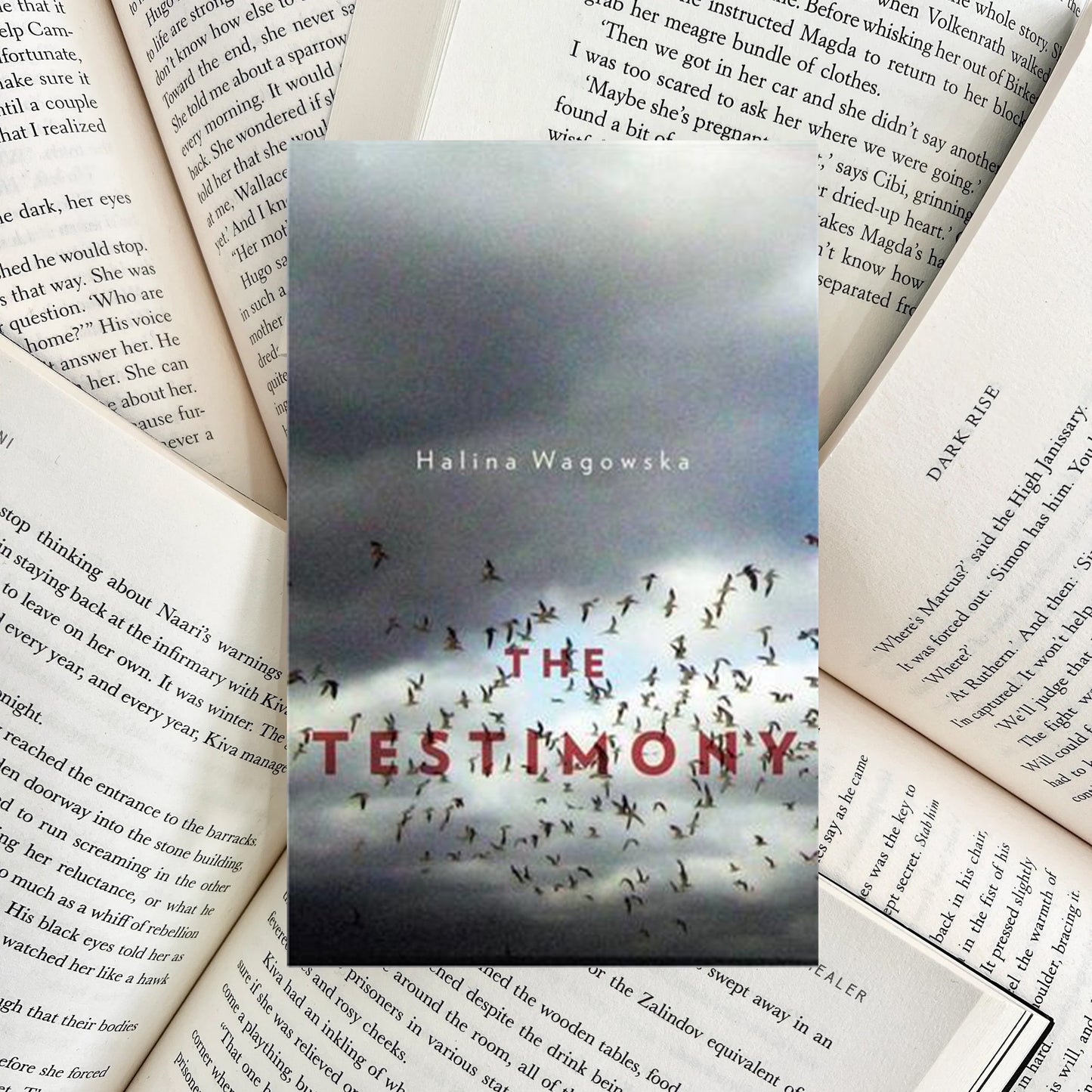 The Testimony By Halina Wagowska (SECOND-HAND)