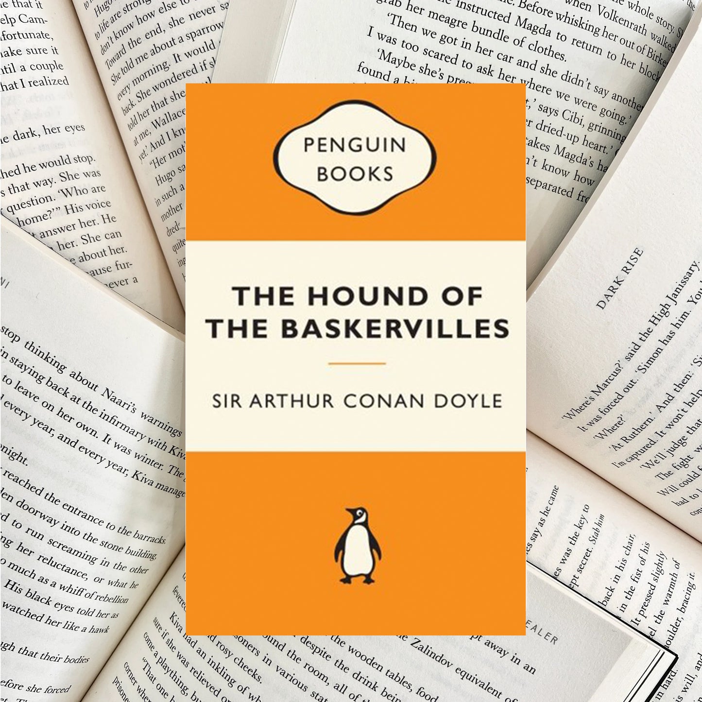 The Hound of the Baskervilles By Sir Arthur Conan Doyle (SECOND-HAND)