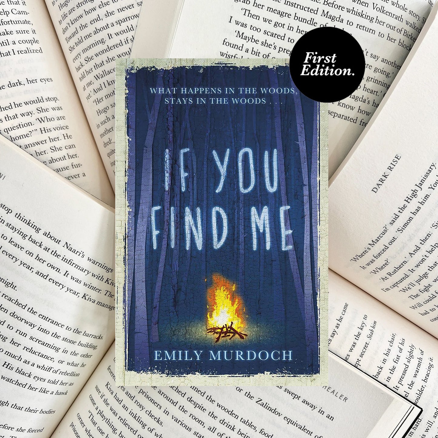 If You Find Me By Emily Murdoch HARDBACK (SECOND-HAND)