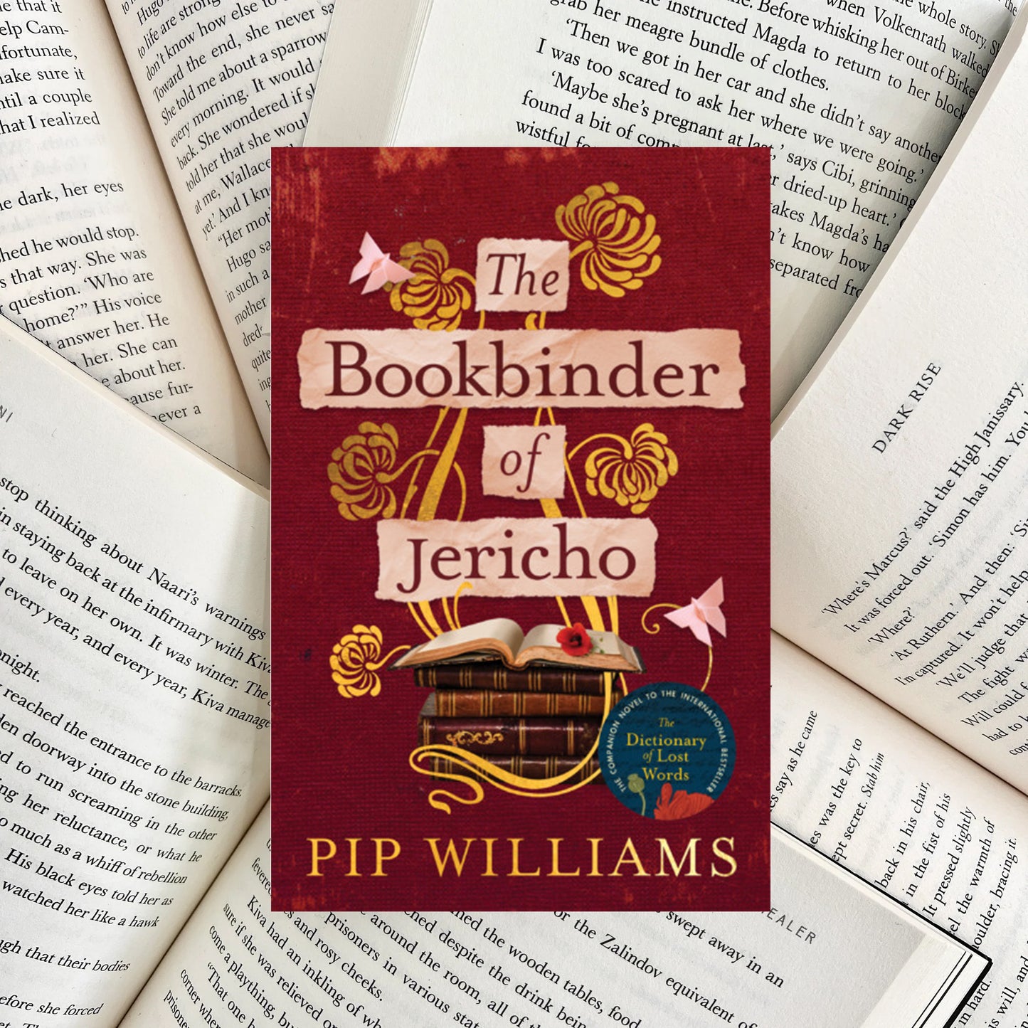 The Bookbinder of Jericho By Pip Williams (SECOND-HAND)