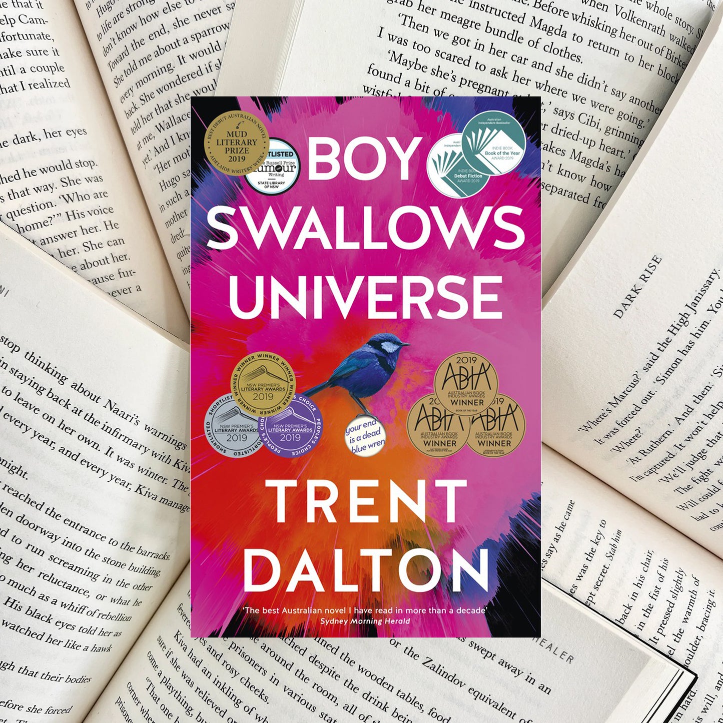 Boy Swallows Universe By Trent Dalton (SECOND-HAND)