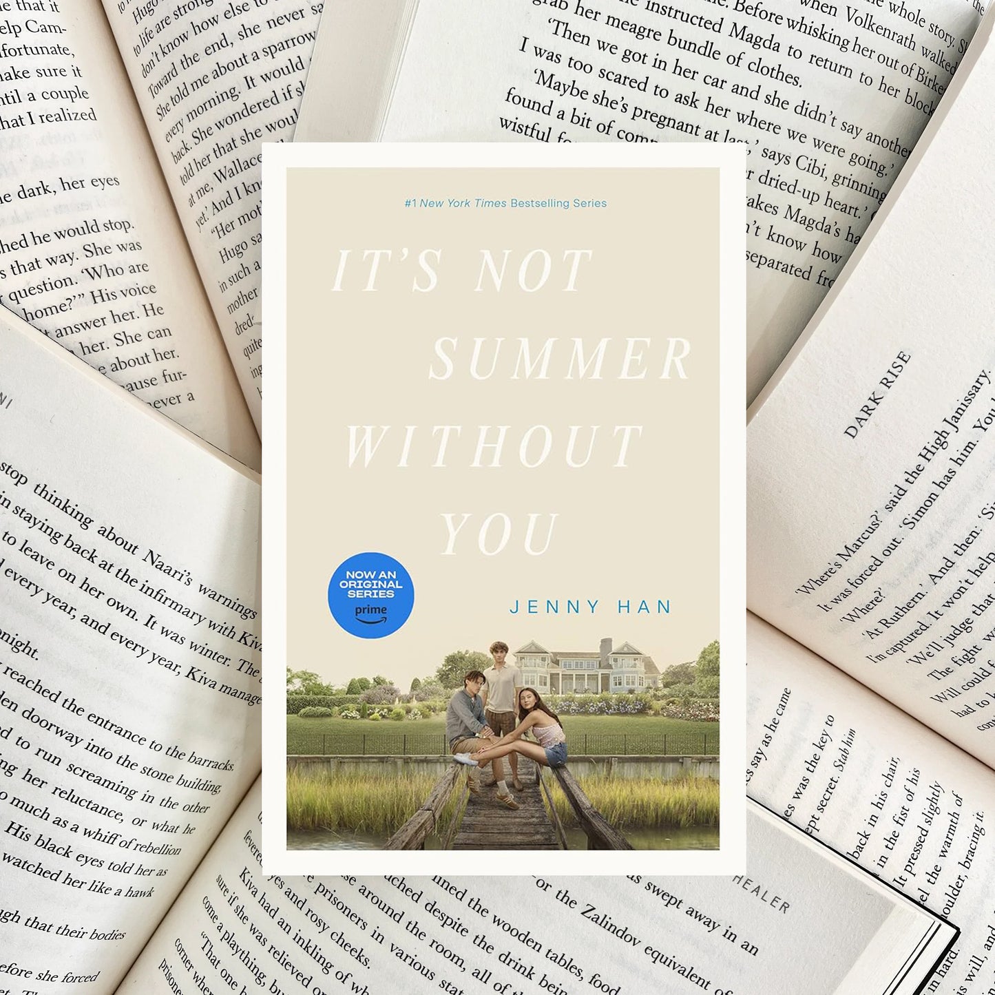 It's Not Summer Without You By Jenny Han (NEW)