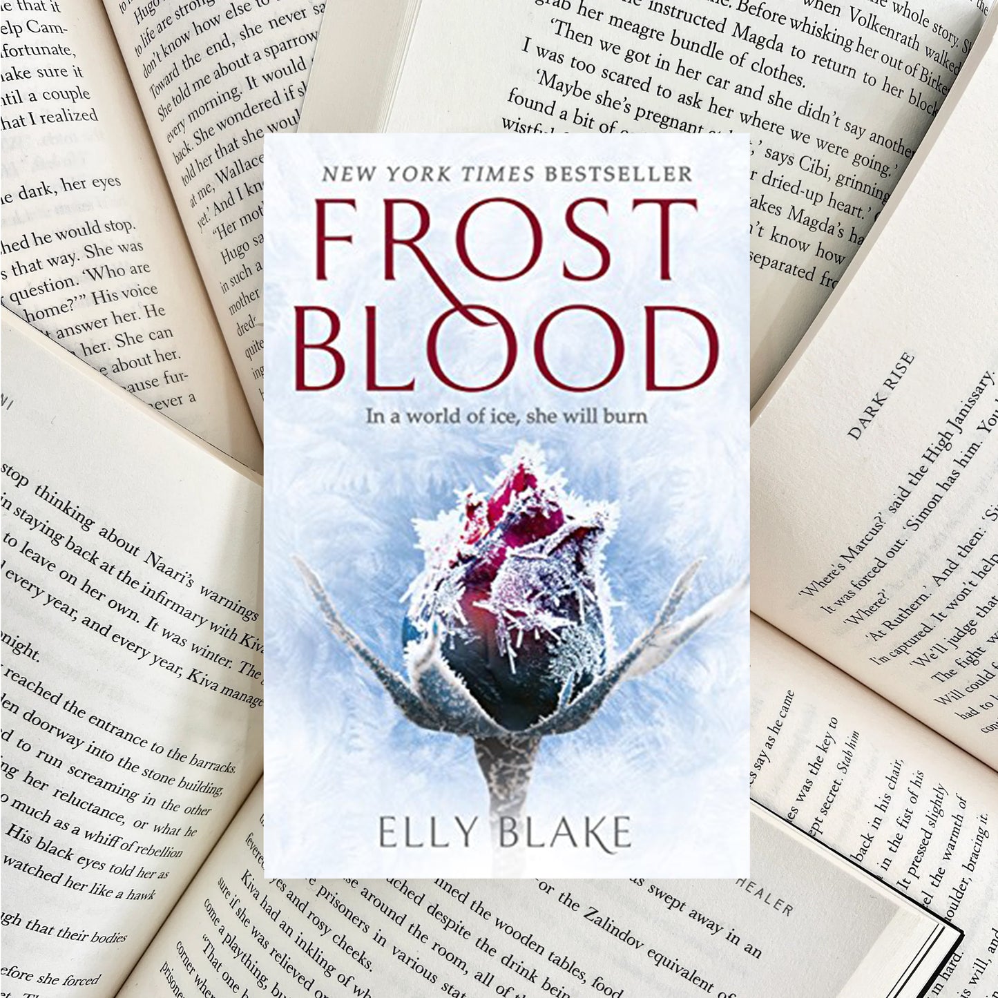 Frost Blood By Elly Blake (SECOND-HAND)