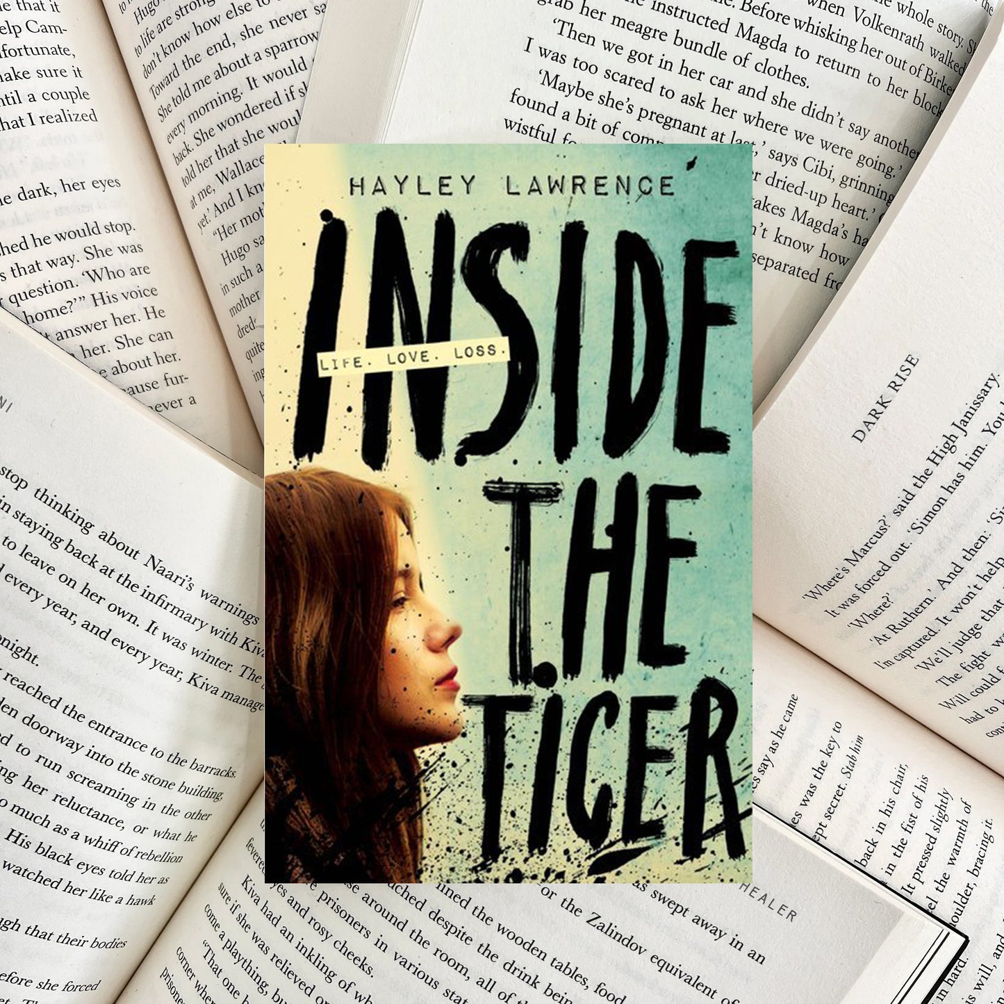 Inside the Tiger By Hayley Lawrence (SECOND-HAND)