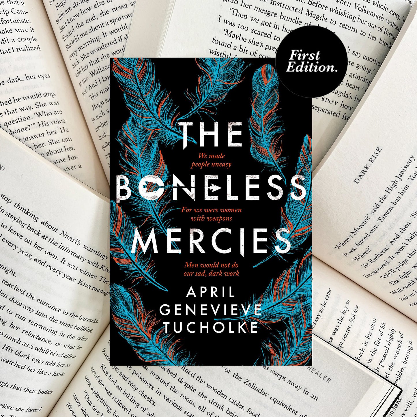 The Boneless Mercies By April Genevieve Tucholke (SECOND-HAND)